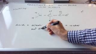 Reactions of Amino Acids [upl. by Aciretahs]