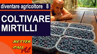 Diventare agricoltore  episodio 8  coltivare mirtilli [upl. by Darcia179]