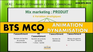 AIDE BTS MCO  Comment définir lASSORTIMENT en marketing   U42 ANIMATION et DYNAMISATION [upl. by Wolpert]