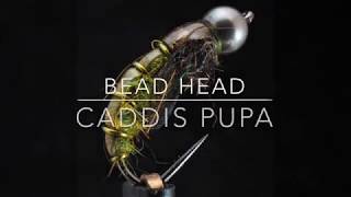 BEAD HEAD CADDIS PUPA [upl. by Enomal]