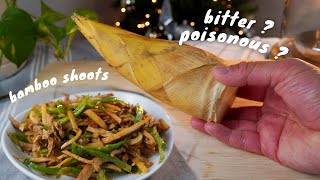 HOW TO PREPARE amp COOK FRESH BAMBOO [upl. by Rica]