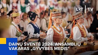 Tiesiogiai Dainų šventė 2024 Ansamblių vakaras „Gyvybės medis“  20240703 [upl. by Iahcedrom585]