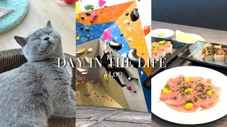 first time michelin star experience 🌟  rock climbing cat cafe amp lots of eating 🍲 [upl. by Cara]