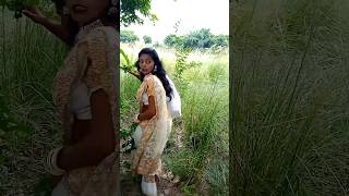 चला बसवारी मे Saritajijaunpuriya Shorts  shortsvideo youtubeshorts shortsfeed [upl. by Rodi626]