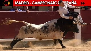 ✅ FINAL DEL CAMPEONATO DE ESPAÑA DE RECORTADORES CON TOROS 2018  MADRID 07102018 [upl. by Lilyan]