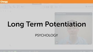 Long Term Potentiation  Psychology  Chegg Tutors [upl. by Nelav]