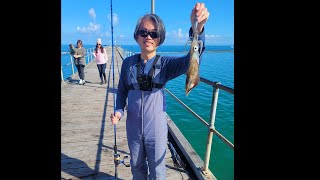 Adelaide Squid Fishing  Port Noarlunga Squidding  Update  14082022 [upl. by Hazaki]