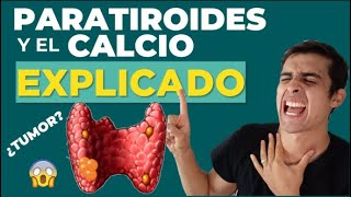 La INCREIBLE 🤯 función de la PARATHORMONA Y CLACITONINA Fisiologia Fácil [upl. by Dolan]