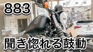 【ハーレー883IRON】883nアイアン ハーレーダビッドソンシティ川越店にて試乗させていただいたので883n アイアンをご紹介します♫harley davidson XL883 IRON [upl. by Kelly]