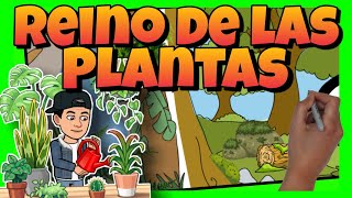 🥀 El REINO de las PLANTAS sus CARACTERÍSTICAS y CLASIFICACIÓN [upl. by Retrac984]