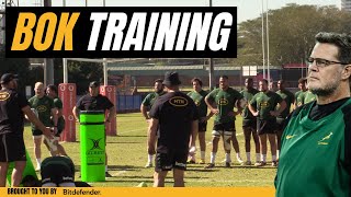 Springboks Training Session  Springboks vs Wales [upl. by Ahcatan]