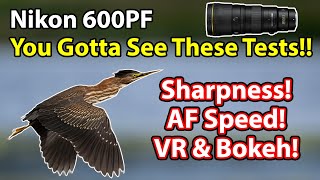 Nikon 600 PF Tests amp Comparisons Sharpness AF Speed Bokeh VR Focus Breathing And More [upl. by Eerdna149]