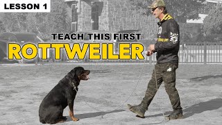 First Things to Teach Your Rottweiler  Dog Training [upl. by Trudie]