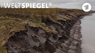 Wie das Ende des Permafrosts in Russland den Klimawandel vorantreibt [upl. by Acessej]