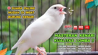 Kenari GACOR‼️ Masteran Burung Kenari PAUD dan Pancingan Kenari MACET BUNYI  EPISODE 1488 [upl. by Keenan]