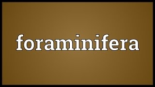 Foraminifera Meaning [upl. by Vorfeld]