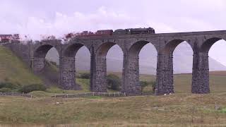 The Dalesman  46115 Scots Guardsman DBLM Steam [upl. by Nosmirc669]