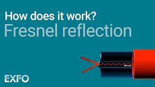 Fresnel Reflection  EXFO animated glossary of Fiber Optics [upl. by Helbonnah]