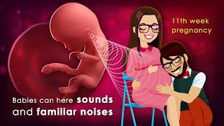 11 Weeks Pregnant Track Your Babys Growth Here [upl. by Otti245]