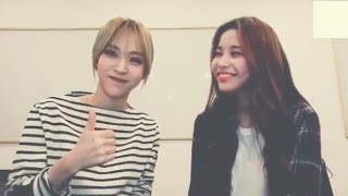 MAMAMOO 마마무 Moonsun MoonByul 문별 amp Solar 솔라 [upl. by Khudari146]