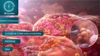 ConvaTec Erklärvideo  Was ist Biofilm [upl. by Pavior]