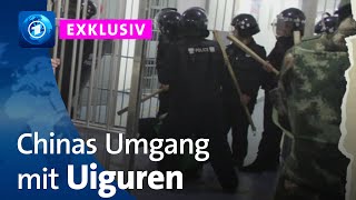 Exklusive Recherche zu Chinas Umgang mit den Uiguren [upl. by Anderegg964]