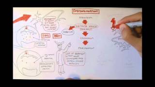 Neurodegenerative Disorder II  Parkinsons and Huntingtons [upl. by Fayette]