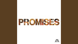 Promises Radio Version [upl. by Abshier]