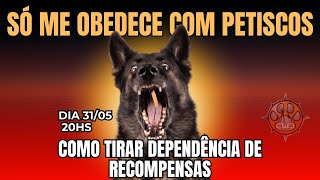 COMO TIRAR RECOMPENSAS DO CÃO E TER ELE OBEDIENTE POR TODA VIDA l Aquecimento Maratona [upl. by Selmner84]