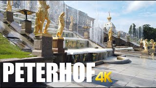 Peterhof Park Sankt Petersburg walking tour 4k 60fps [upl. by Mccarthy]