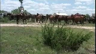 A Day in the Life of a West Texas Cowboy [upl. by Thomasina]