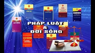 Pháp luật và cuộc sống Nâng cao năng lực hòa giải viên cơ sở [upl. by Alenson]