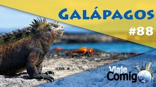 ILHAS GALÁPAGOS  EQUADOR  Ep 2  Série Viaje Comigo [upl. by Hayton]