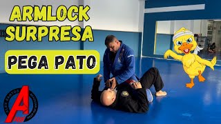 ARMLOCK DE SURPRESA  PEGA PATO  o seu canal de Jiu Jitsu no Youtube [upl. by Gies]