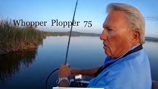 Its a great lureWhopper Plopper 75 [upl. by Thamora]