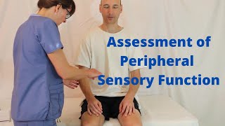 Assessment of Peripheral Sensory Function [upl. by Areik]