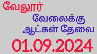 Vellore job vacancy today  Vellore jobs in tamil  Vellore jobs 2024 saktheevlogs [upl. by Grethel613]