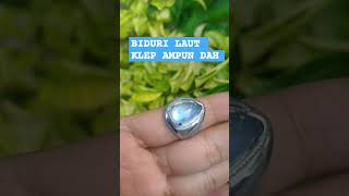 Biduri laut ortoclass moonstone klep biru ampun update gemstone terbaru sspermata [upl. by Claude282]