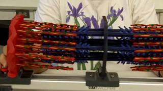 Sliding Filament Sarcomere [upl. by Uri741]