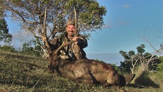 Hunting Rusa deer in the roar with 7mm Rem Mag at 340 meters in New Caledonia part 22 [upl. by Hnim]