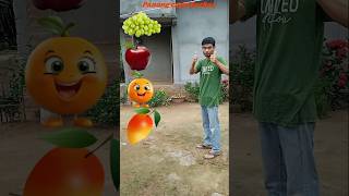 Mango orchard apple grapeytshorts shortsfeed trending viralvideo ytshorts youtubeshorts [upl. by Ieppet]