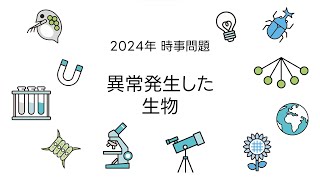 2024 中学受験時事問題 異常発生した生物 [upl. by Aihsoek]