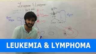 Leukemia  Overview  Classification [upl. by Sollows]