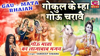 Gau Mata Bhajans  गोऊ माता का लाजवाब भजन  गोकुल के म्हा गोऊ चरावै  Sadeep Siwana  गौ माता भजन [upl. by Annawoj]