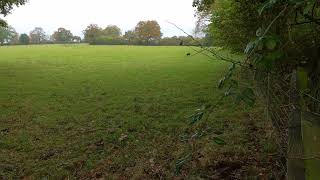 Fields of the Battle of Bosworth Field Leicestershire [upl. by Halil]