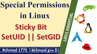 How to use Sticky bit in Linux  SetUID  SetGID  Linux Special Permissions [upl. by Alice]