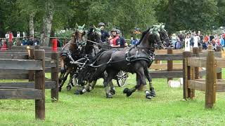 Horde Anthony FRA FEI EU CH H4 CHI Donaueschingen Marathon Ob 6 17 08 2019 [upl. by Ecnarretal]