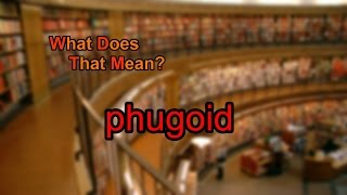 What does phugoid mean [upl. by Ku555]