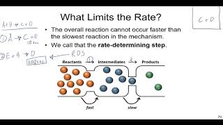 Chemical Kinetics Lecture on Reaction Mechanisms Molecularity and Catalysts [upl. by Alhak]