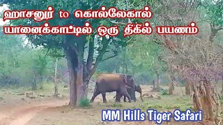 Hasanur to Kollegala Dense Forest Drive  Lokkanahalli PG Palya Wildlife Safari  Jolly Trip [upl. by Zitvaa332]